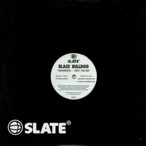 Black Bulldog – (Choirboys)...Can't You See
