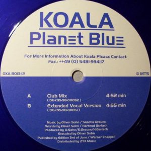 Koala – Planet Blue
